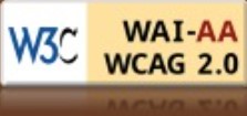 Level Double-A conformance, W3C WAI Web Content Accessibility Guidelines 2.1